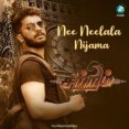 Nee Neelala Nijama